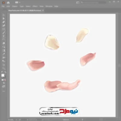فایل وکتور گلبرگ صورتی با فرمت eps