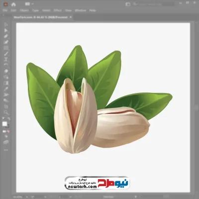 فایل وکتور پسته با فرمت eps