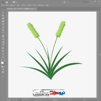فایل وکتور علف تیموتی