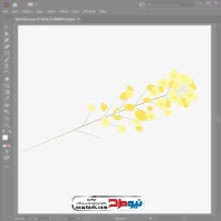 فایل وکتور شاخه گل زرد میموزا