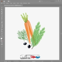 تصویر وکتوری هویج و زیتون