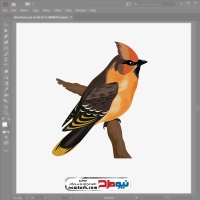 فایل eps پرنده نشسته روی شاخه