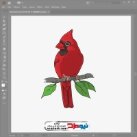 فایل وکتور پرنده کاردینال قرمز