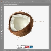 فایل eps نارگیل شکسته