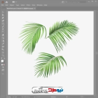 فایل وکتور برگ درخت نارگیل