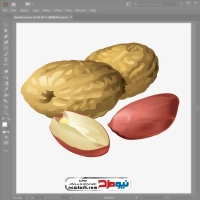 فایل وکتور بادام زمینی
