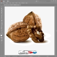 فایل eps گردو
