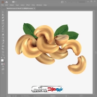 وکتور بادام هندی
